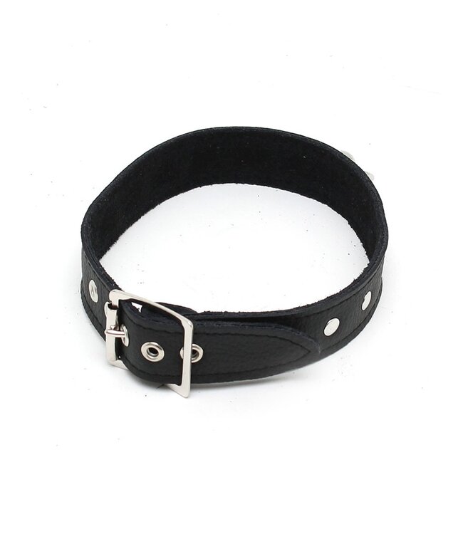 Rimba - Halsband  2.5 cm. breed, versierd met nieten