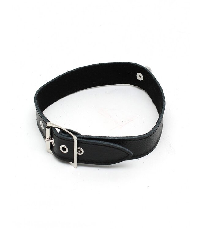 Rimba - Halsband  2.5 cm. breed, glad zonder siernieten