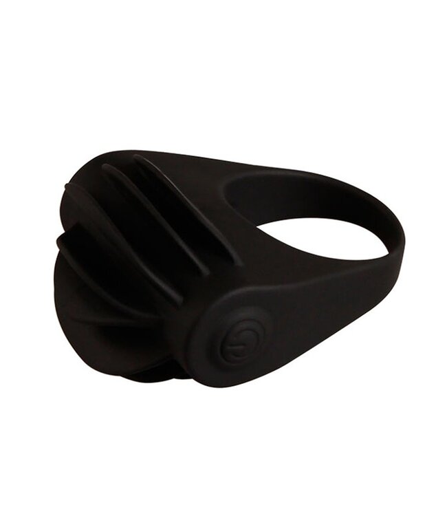 Crazy Bull - Chester