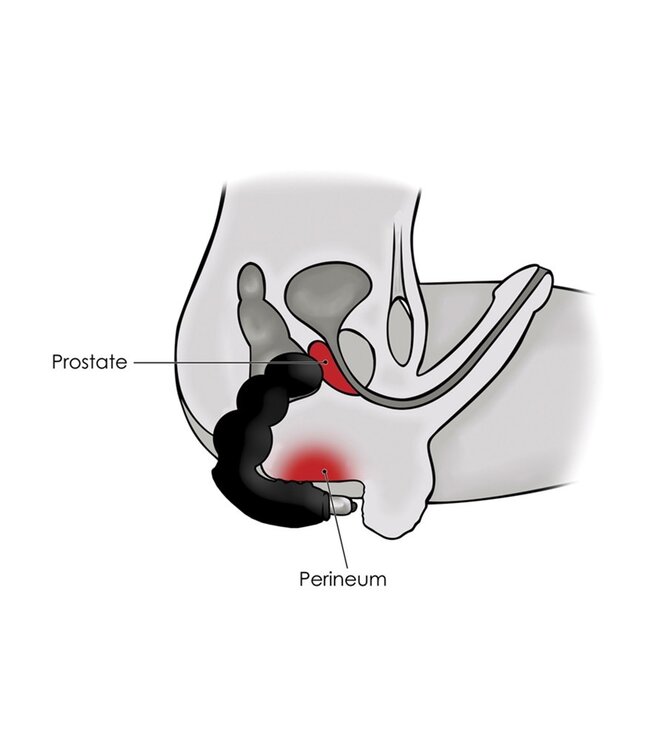 Rocks-Off  Big-Boy 7 Speed