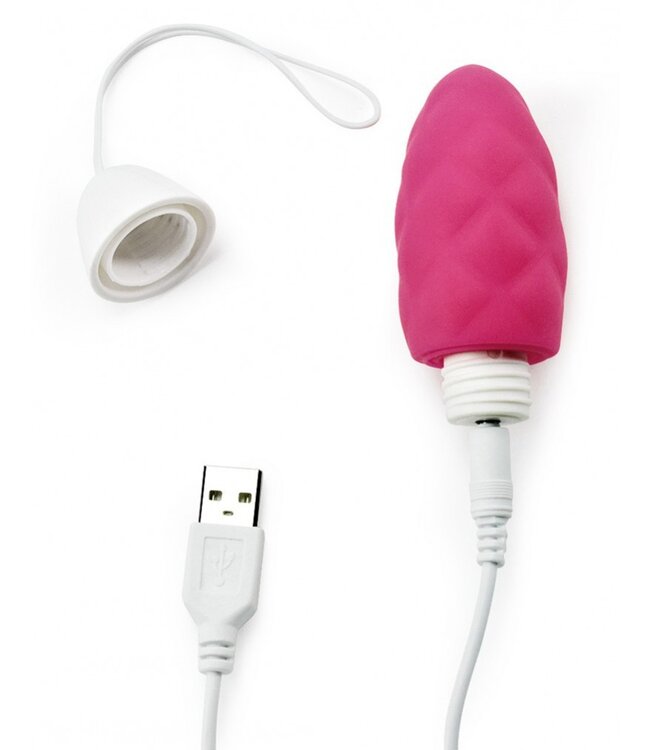 LoveToy - iJoy 1 - Vibrerend Ei met afstandbediening - Roze