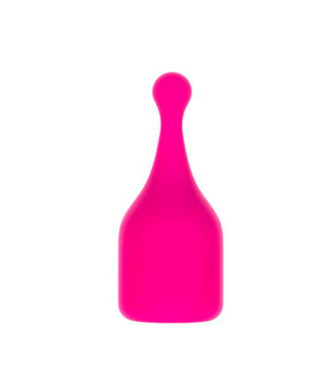 PalmPower - Pocket Extended