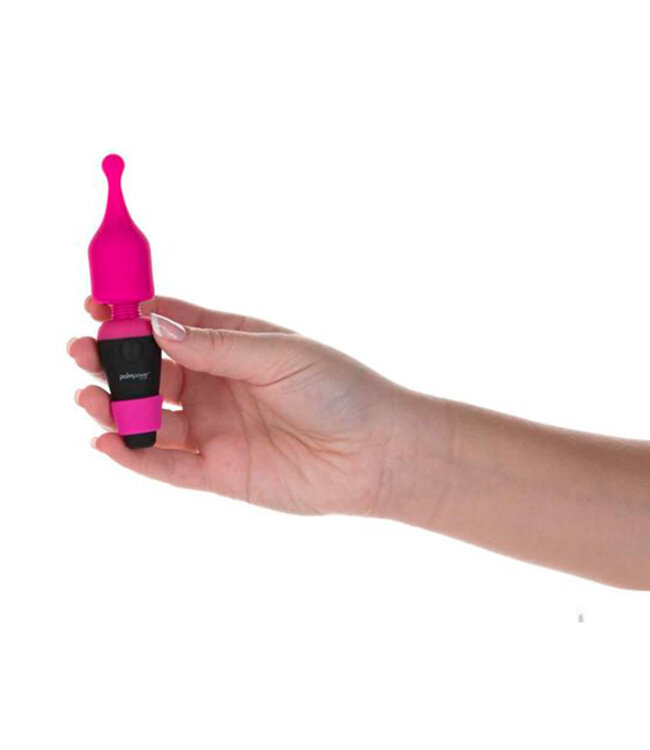 PalmPower - Pocket Extended