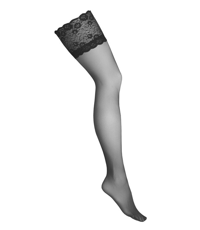 Kotek Hold Ups H008