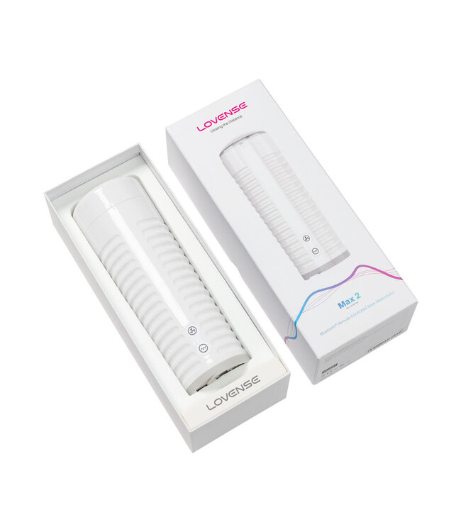 Lovense Max 2