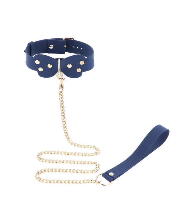 Silicone Collar and Leash