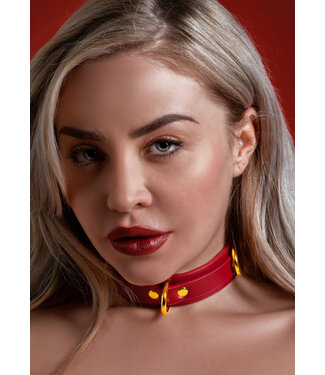 Taboom Bondage in Luxury D-Ring Collar Deluxe