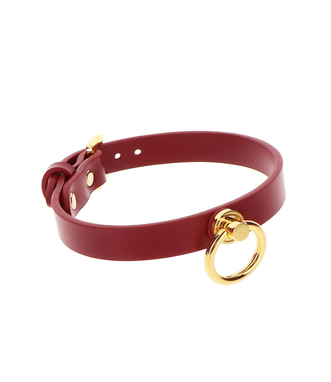 Taboom Bondage in Luxury O-Ring Collar