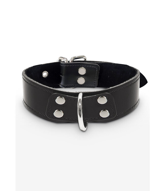 Taboom Bondage Essentials Elegant D-Ring Collar