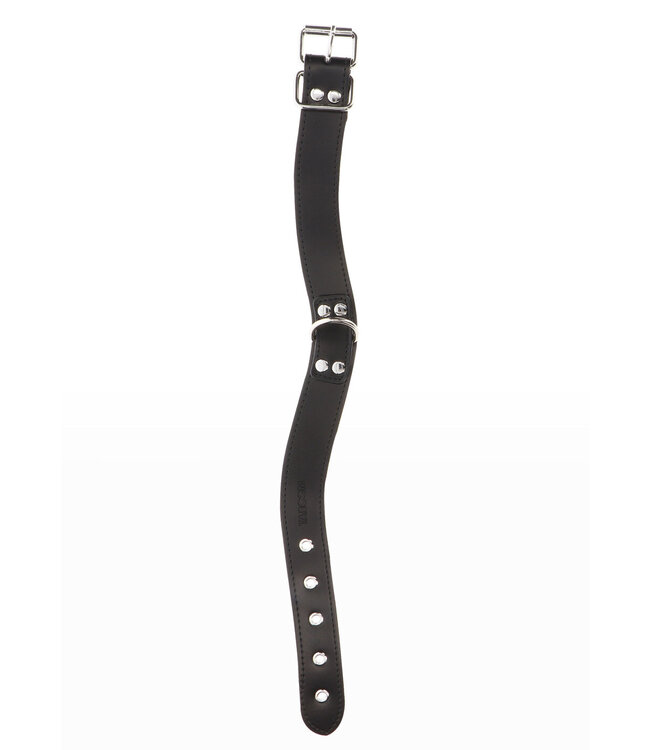 Taboom Bondage Essentials Elegant D-Ring Collar