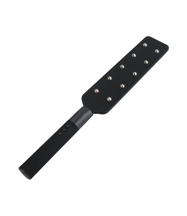 Hidden Desire Extreme Electro Paddle