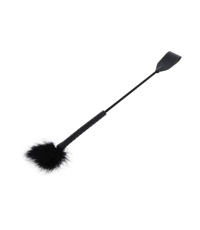 Hidden Desire Extreme Crop Whip & Feather Tickler