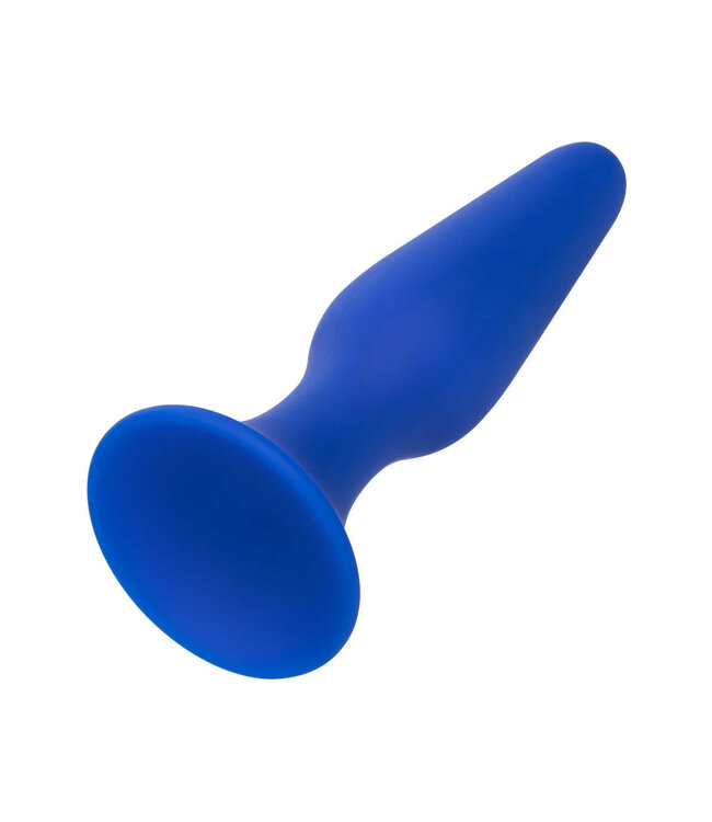 CalExotics Admiral Anal Trainer Kit