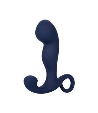 CalExotics Viceroy Rechargeable Command Probe