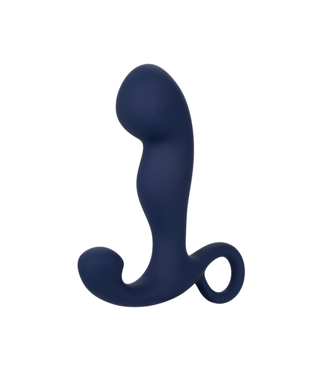CalExotics Viceroy Rechargeable Command Probe