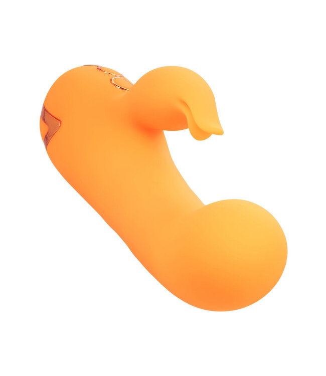 CalExotics California Dreaming Montecito Muse