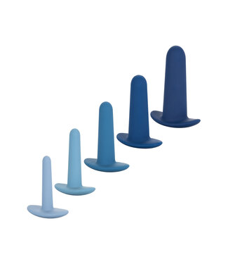 CalExotics They-ology 5-Piece Wearable Anal Training Set