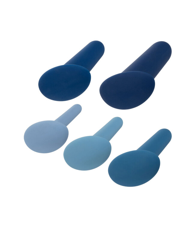 CalExotics They-ology 5-Piece Wearable Anal Training Set