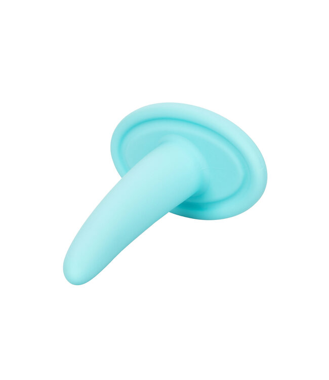 CalExotics She-ology 5-piece Wearable Vaginal Dilator Set