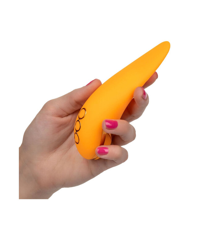 CalExotics California Dreaming Hollywood Hottie