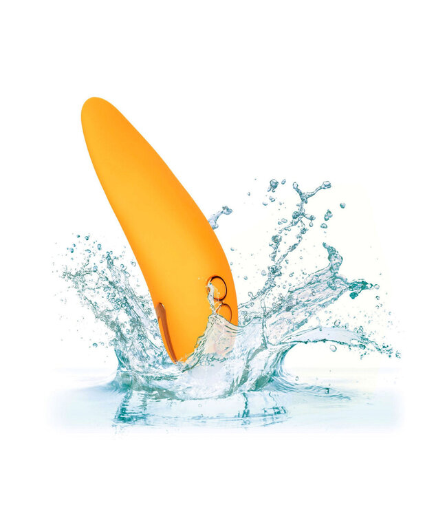 CalExotics California Dreaming Hollywood Hottie