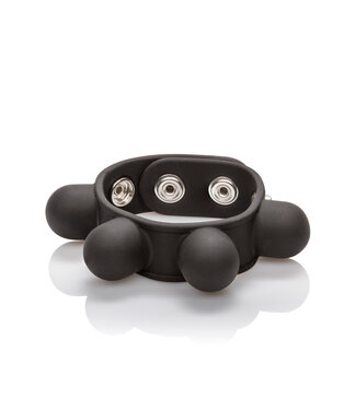CalExotics Silicone Weighted Ball Stretcher