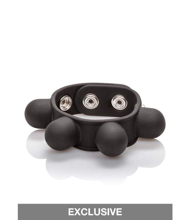 CalExotics Silicone Weighted Ball Stretcher