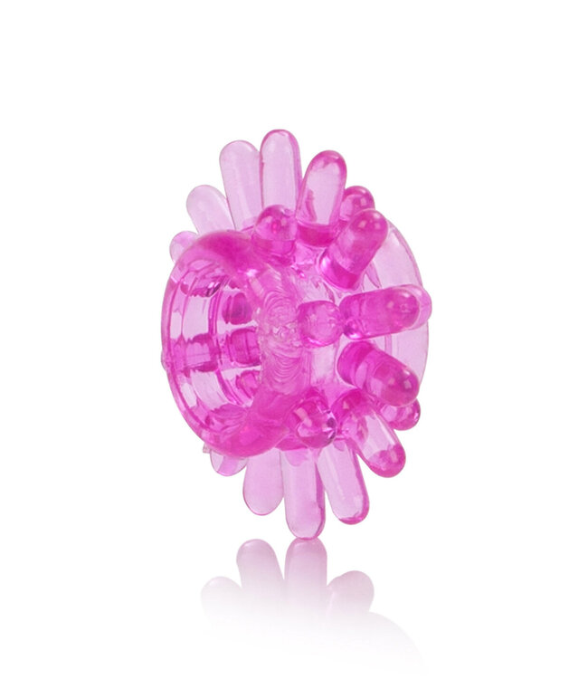 CalExotics Senso 6 Pak