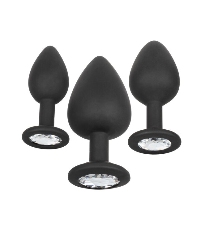 CalExotics Silicone Gem Anal Kit