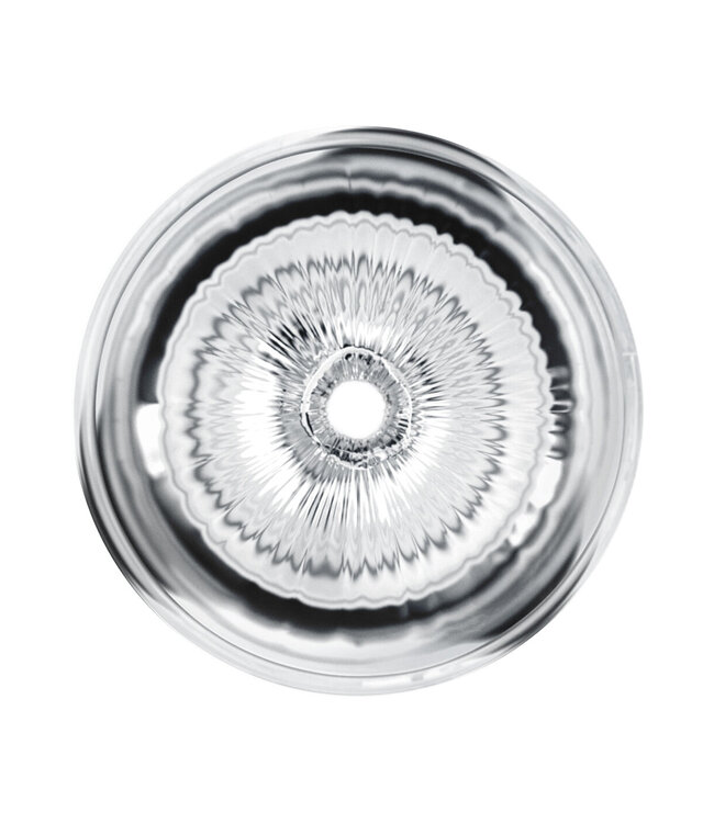 PRIVATE Clear Shot Pussy & Ass