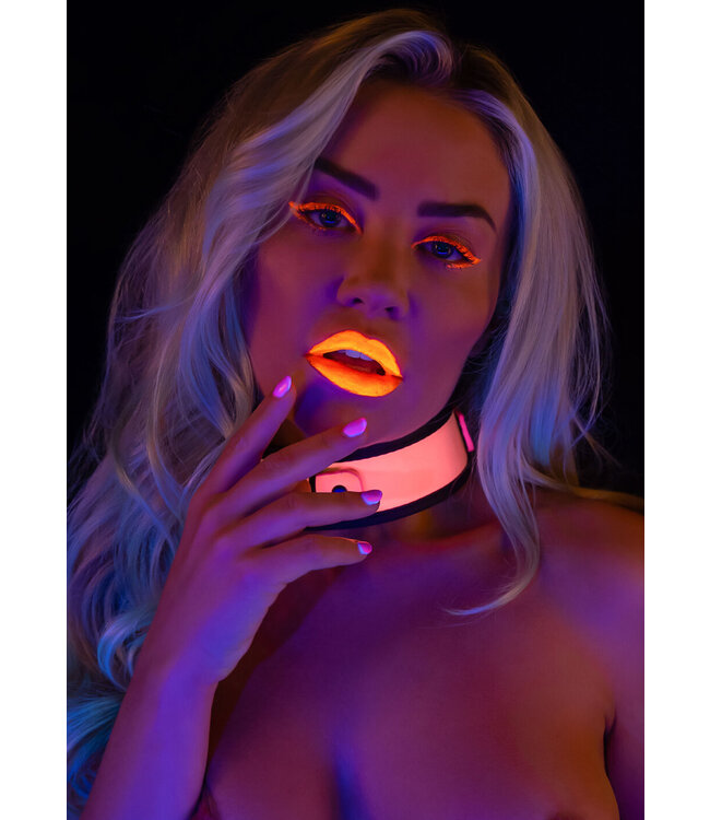 Taboom Glow In the Dark Collar and Chain Leash