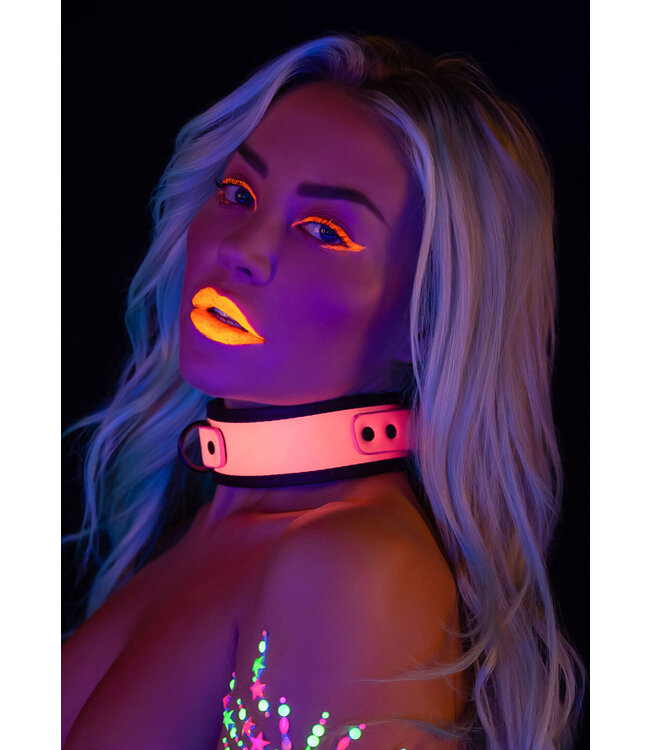 Taboom Glow In the Dark Collar and Chain Leash