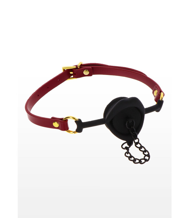Taboom Bondage in Luxury Kinky Gag with Plug