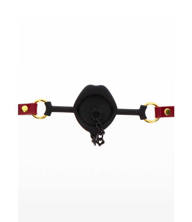 Taboom Bondage in Luxury Kinky Gag with Plug
