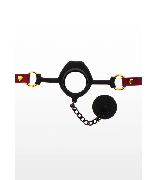 Taboom Bondage in Luxury Kinky Gag with Plug
