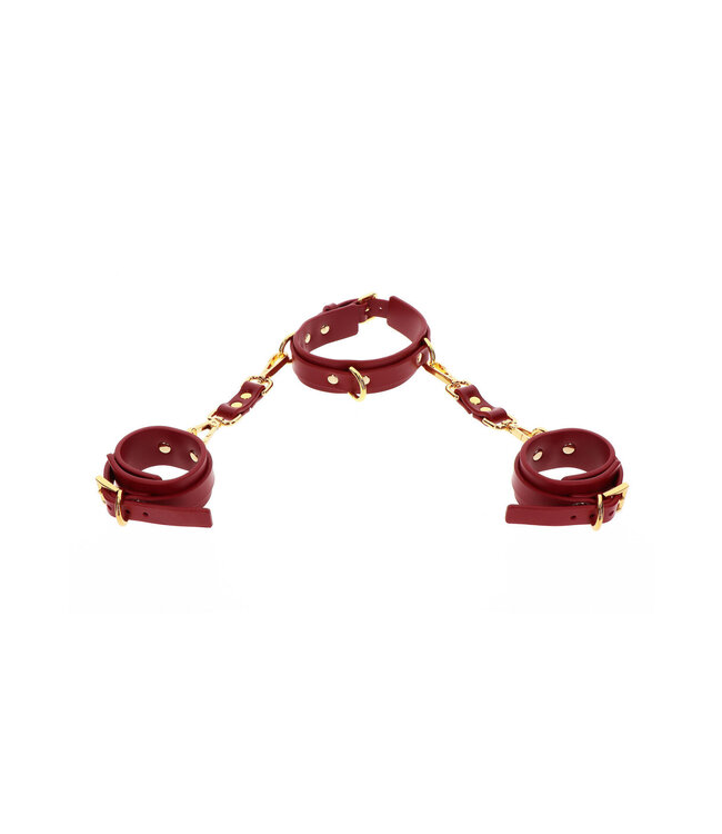 Taboom Bondage in Luxury D-Ring Collar and Wrist Cuffs