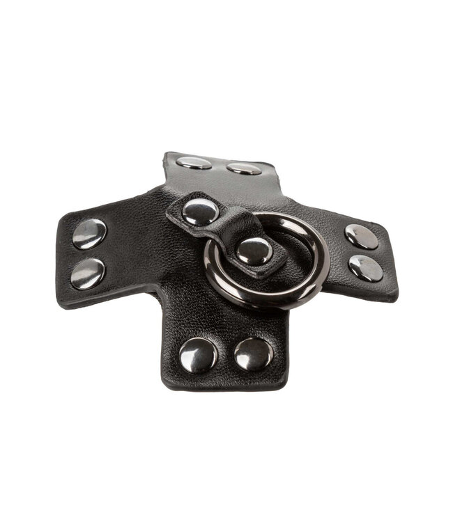 CalExotics Euphoria Collection O-Ring Pasties