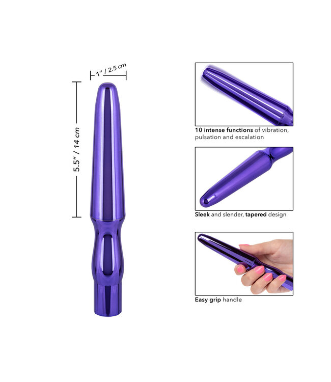 CalExotics Rechargeable Anal Probe