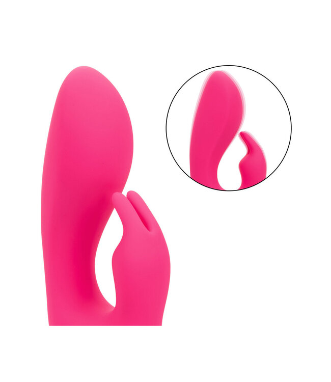 CalExotics California Dreaming So. Cal Sunshine