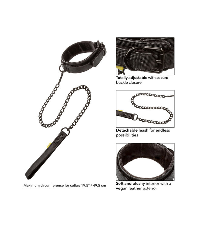 CalExotics Boundless Collar with Leash