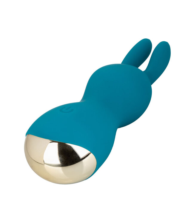 CalExotics Slay #AmazeMe