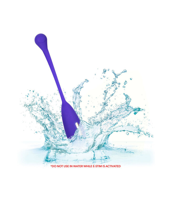 CalExotics Impulse Intimate E-Stimulator Remote Kegel Exerciser