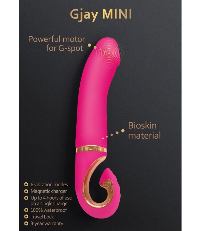 Gvibe Gjay Mini