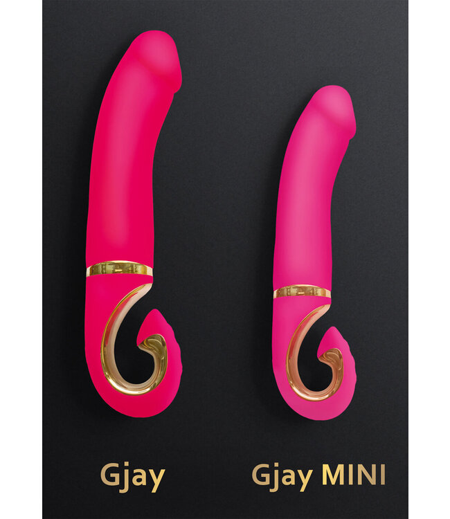 Gvibe Gjay Mini