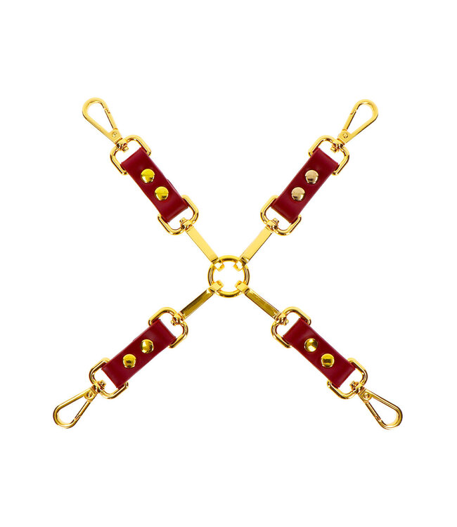 Taboom Bondage in Luxury Hogtie