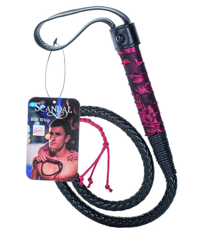 CalExotics Scandal Bull Whip