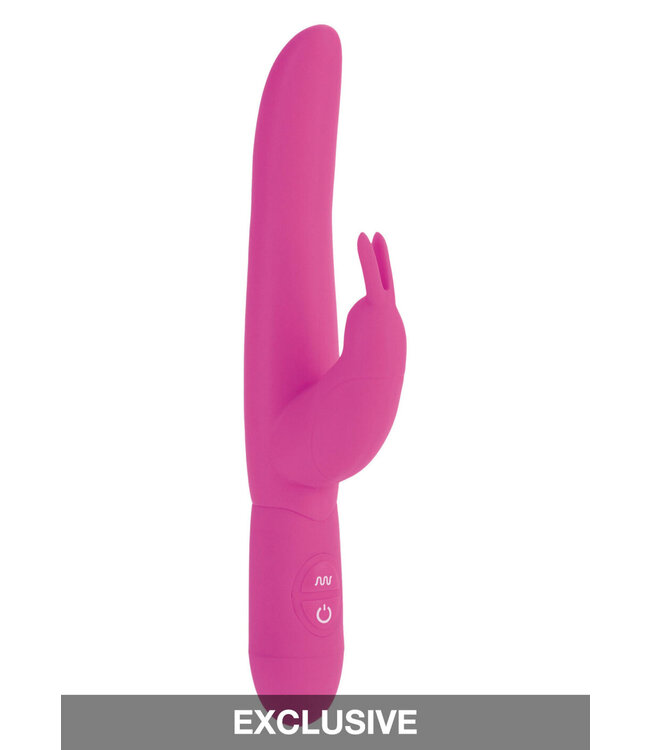 CalExotics Bounding Bunny