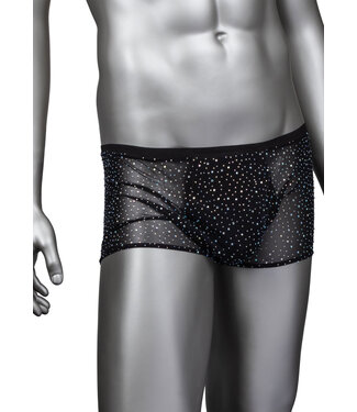 CalExotics Radiance Boxer Briefs