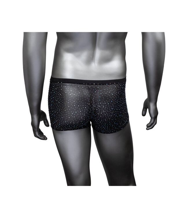 CalExotics Radiance Boxer Briefs