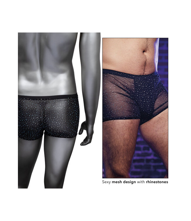 CalExotics Radiance Boxer Briefs